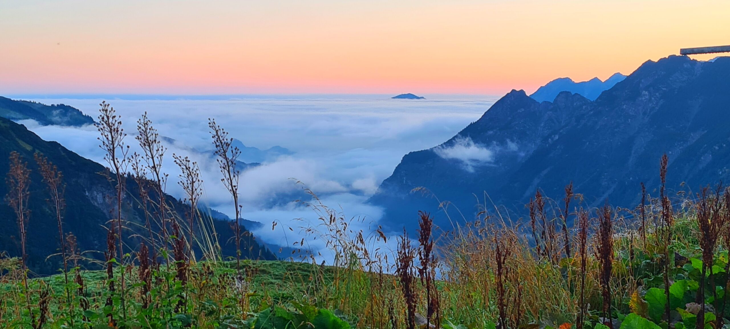 20240827 063531 scaled